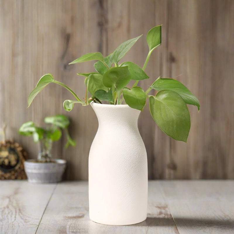 Newark Vase