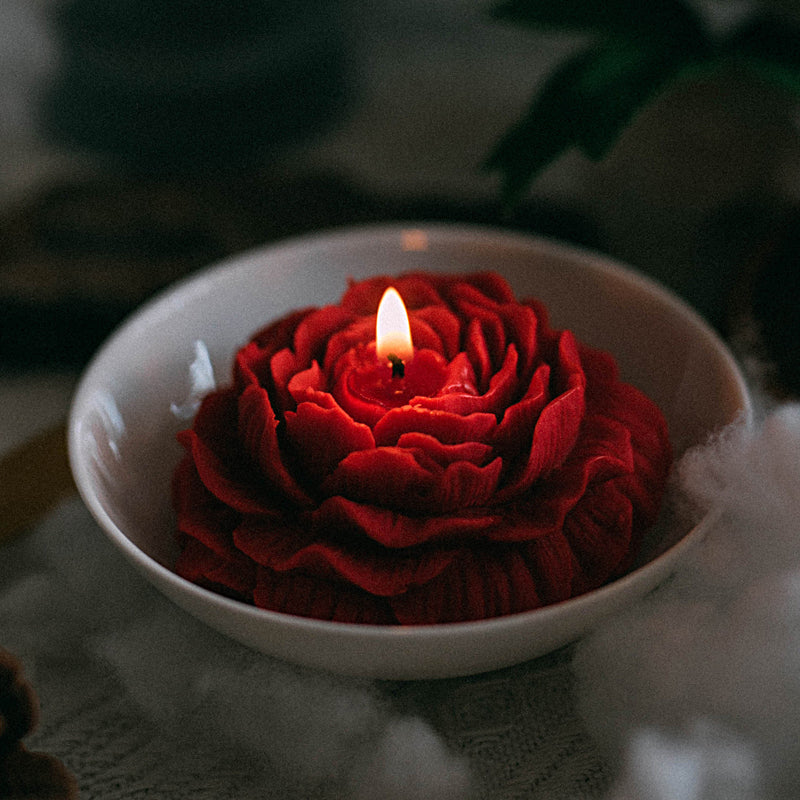 小花蜡烛
