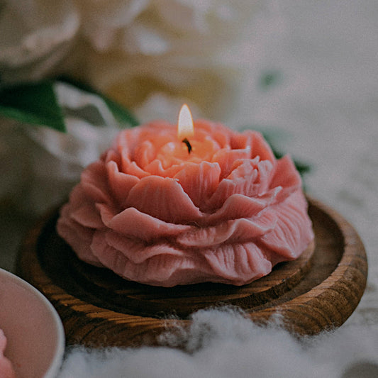 小花蜡烛