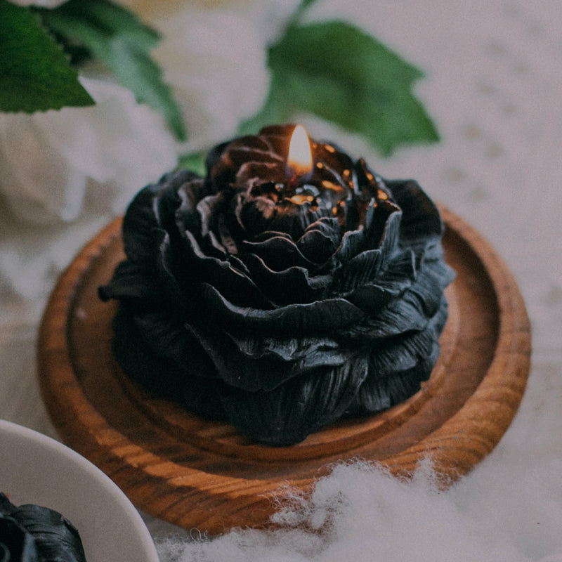 小花蜡烛